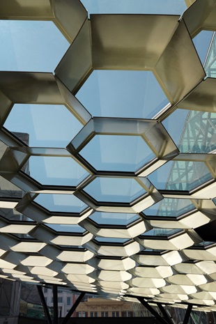 “The ability to look up through the lightweight steel and glass windows is otherworldly, and I hadn’t expected how powerful it would be before I did it myself for the first time”